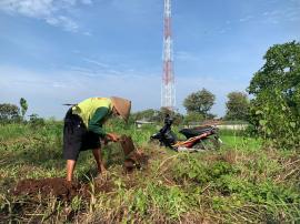 Persiapan Lahan Wisata Buah 